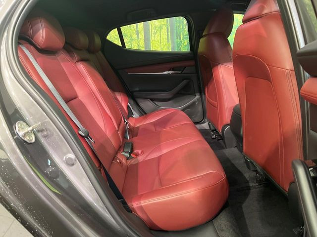 �㕔���Ȃ��C�ɂȂ�悤�ȃL�Y�E�����ւ��蓙�A�傫�ȃ_���[�W�͂Ȃ��A�ǍD�ȏ�Ԃł��B