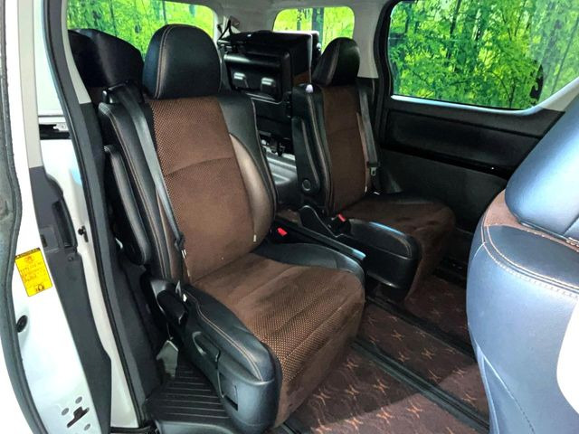 �㕔���Ȃ��C�ɂȂ�悤�ȃL�Y�E�����ւ��蓙�A�傫�ȃ_���[�W�͂Ȃ��A�ǍD�ȏ�Ԃł��B