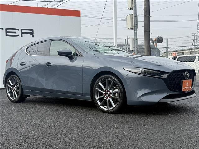 ���Ǝҗl�ւ̔̔��͂��f�肳���Ă��������܂��B �Ԍ������ԗ��̏ꍇ�́A�Ԍ����擾�������x�������z�ŕ\�����Ă���܂��B