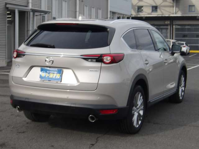 �{�f�B�[�J���[���l�C�̃J���[�ł�!