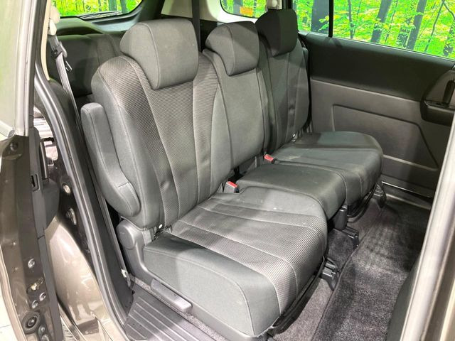 �㕔���Ȃ��C�ɂȂ�悤�ȃL�Y�E�����ւ��蓙�A�傫�ȃ_���[�W�͂Ȃ��A�ǍD�ȏ�Ԃł��B