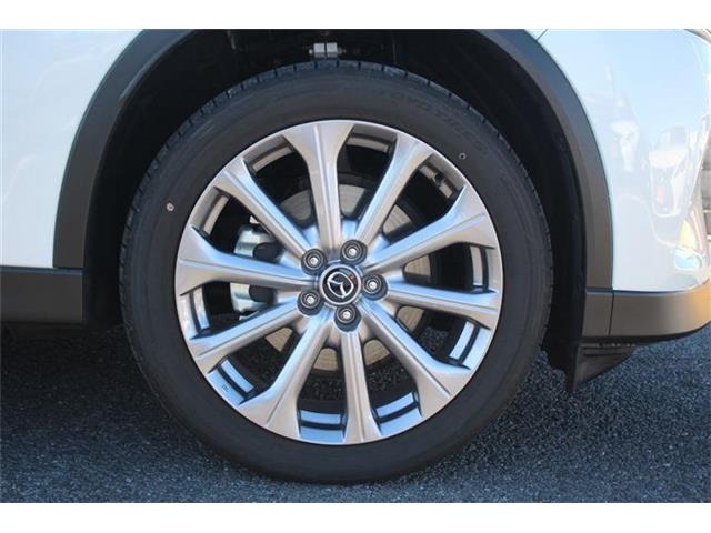 ���Ǝҗl�ւ̔̔��͂��f�肳���Ă��������܂��B �Ԍ������ԗ��̏ꍇ�́A�Ԍ����擾�������x�������z�ŕ\�����Ă���܂��B