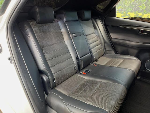 �㕔���Ȃ��C�ɂȂ�悤�ȃL�Y�E�����ւ��蓙�A�傫�ȃ_���[�W�͂Ȃ��A�ǍD�ȏ�Ԃł��B