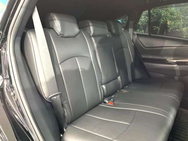 �㕔���Ȃ��C�ɂȂ�悤�ȃL�Y�E�����ւ��蓙�A�傫�ȃ_���[�W�͂Ȃ��A�ǍD�ȏ�Ԃł��B