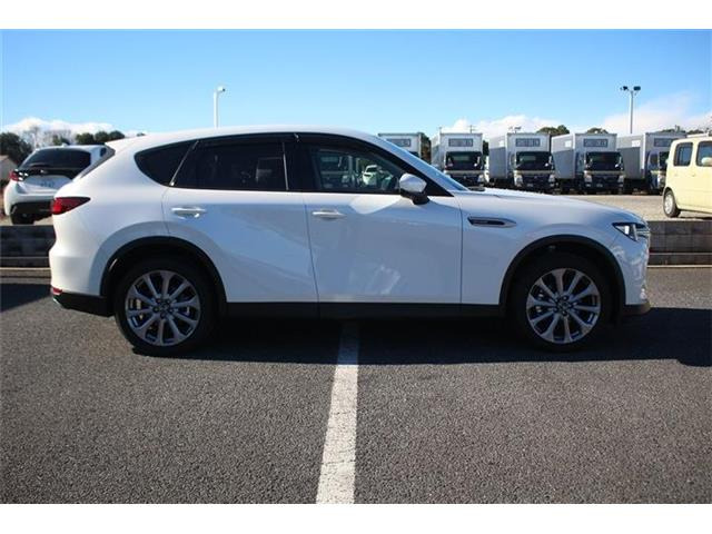 ���Ǝҗl�ւ̔̔��͂��f�肳���Ă��������܂��B �Ԍ������ԗ��̏ꍇ�́A�Ԍ����擾�������x�������z�ŕ\�����Ă���܂��B