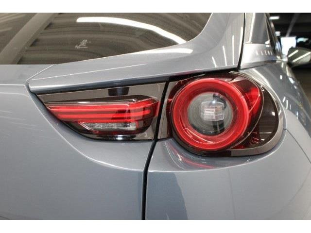 ���Ǝҗl�ւ̔̔��͂��f�肳���Ă��������܂��B �Ԍ������ԗ��̏ꍇ�́A�Ԍ����擾�������x�������z�ŕ\�����Ă���܂��B