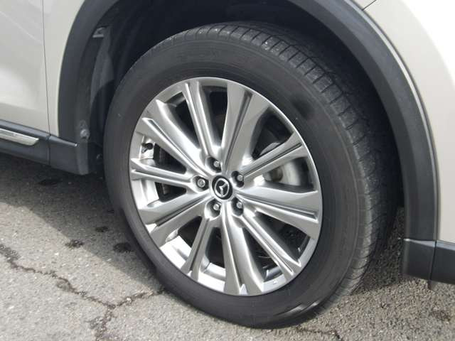 ����19�C���`�A���~�t���ł�!!