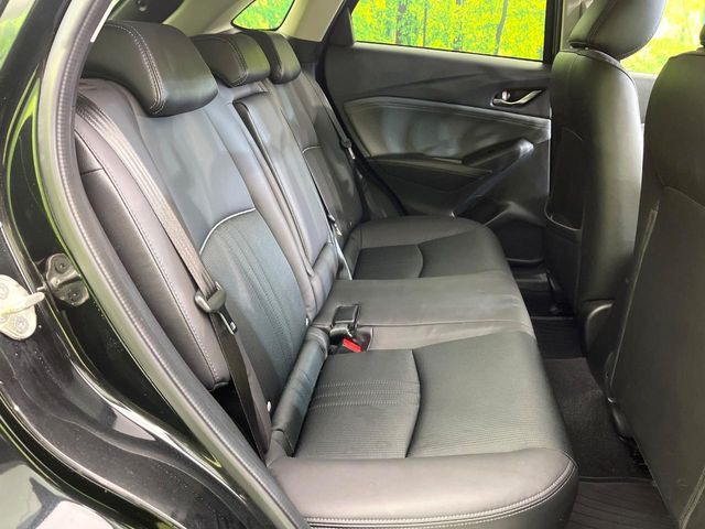 �㕔���Ȃ��C�ɂȂ�悤�ȃL�Y�E�����ւ��蓙�A�傫�ȃ_���[�W�͂Ȃ��A�ǍD�ȏ�Ԃł��B