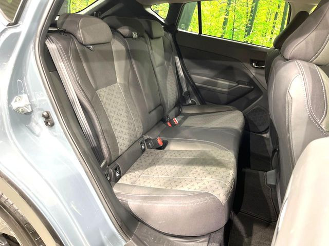 �㕔���Ȃ��C�ɂȂ�悤�ȃL�Y�E�����ւ��蓙�A�傫�ȃ_���[�W�͂Ȃ��A�ǍD�ȏ�Ԃł��B