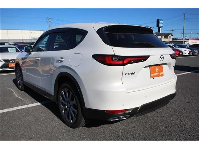 ���Ǝҗl�ւ̔̔��͂��f�肳���Ă��������܂��B �Ԍ������ԗ��̏ꍇ�́A�Ԍ����擾�������x�������z�ŕ\�����Ă���܂��B