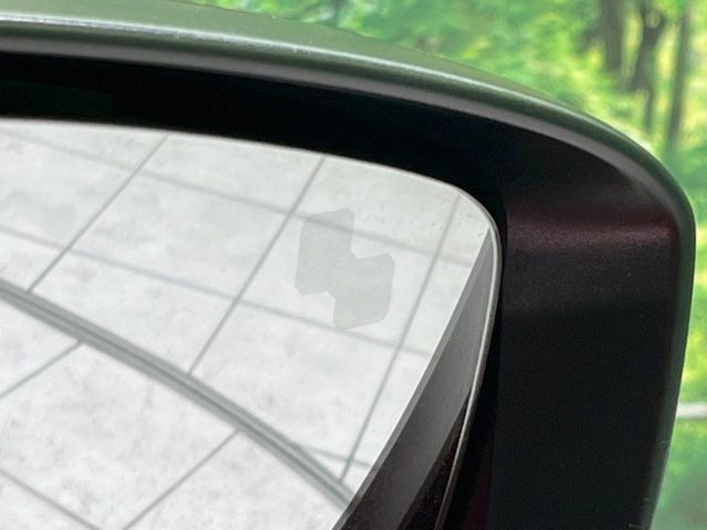 �y�u���C���h�X�|�b�g���j�^�����O�z���s���A�h�A�~���[�̎��p�ɂȂ�₷���ӏ��Ɍ㑱�Ԃ��ڋ߂���ƃT�C�h�~���[�t�߂Ɍx����\���A�h���C�o�[�ɒ��ӊ��N�����Ă���܂��B