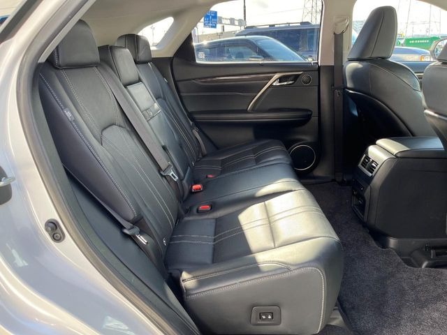 �㕔���Ȃ��C�ɂȂ�悤�ȃL�Y�E�����ւ��蓙�A�傫�ȃ_���[�W�͂Ȃ��A�ǍD�ȏ�Ԃł��B