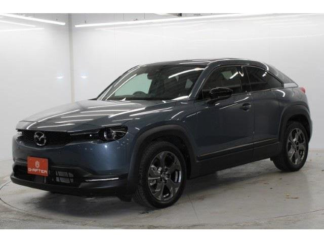 ���Ǝҗl�ւ̔̔��͂��f�肳���Ă��������܂��B �Ԍ������ԗ��̏ꍇ�́A�Ԍ����擾�������x�������z�ŕ\�����Ă���܂��B