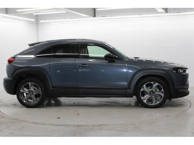 ���Ǝҗl�ւ̔̔��͂��f�肳���Ă��������܂��B �Ԍ������ԗ��̏ꍇ�́A�Ԍ����擾�������x�������z�ŕ\�����Ă���܂��B