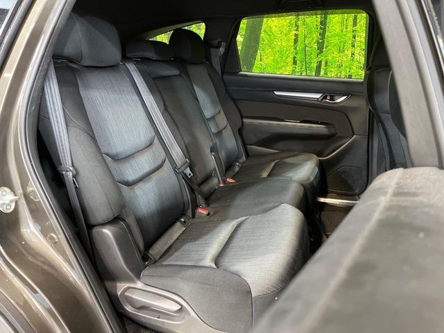 �㕔���Ȃ��C�ɂȂ�悤�ȃL�Y�E�����ւ��蓙�A�傫�ȃ_���[�W�͂Ȃ��A�ǍD�ȏ�Ԃł��B