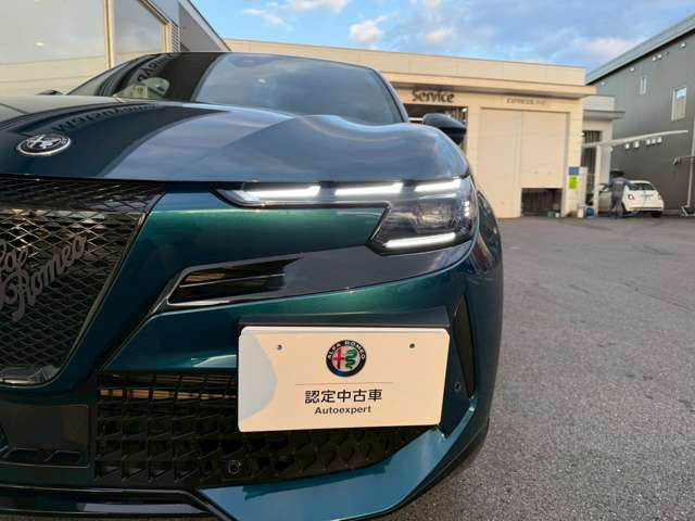 ジュニアイブリダ プレミアム