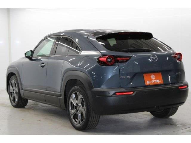 ���Ǝҗl�ւ̔̔��͂��f�肳���Ă��������܂��B �Ԍ������ԗ��̏ꍇ�́A�Ԍ����擾�������x�������z�ŕ\�����Ă���܂��B