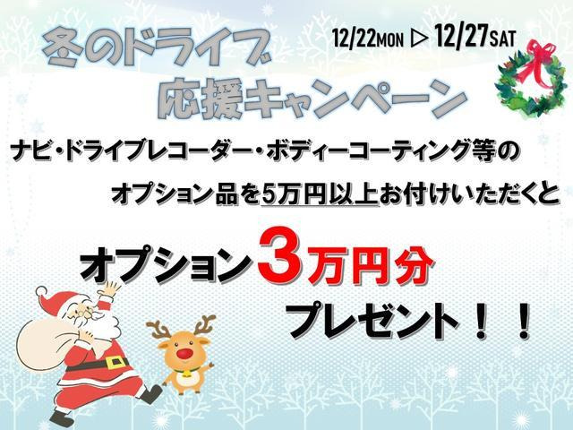 ピクシスエポックX SAIII