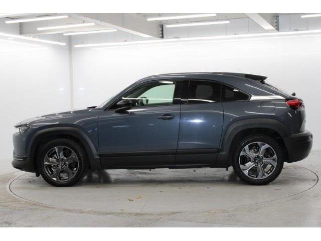 ���Ǝҗl�ւ̔̔��͂��f�肳���Ă��������܂��B �Ԍ������ԗ��̏ꍇ�́A�Ԍ����擾�������x�������z�ŕ\�����Ă���܂��B