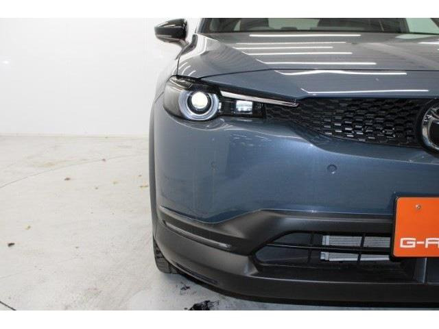 ���Ǝҗl�ւ̔̔��͂��f�肳���Ă��������܂��B �Ԍ������ԗ��̏ꍇ�́A�Ԍ����擾�������x�������z�ŕ\�����Ă���܂��B