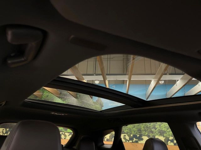 �y�T�����[�t�z�J���������Ղ�̊󏭑����A�T�����[�t����������Ă��܂�!�ԓ��ɖ�����������ꂽ��i�F���y���ވȊO�ɂ��A�ԓ��̋�C���ȒP�Ɋ��C�ł��ĉ��K�ł�!