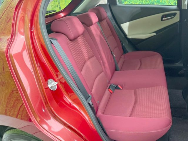 �㕔���Ȃ��C�ɂȂ�悤�ȃL�Y�E�����ւ��蓙�A�傫�ȃ_���[�W�͂Ȃ��A�ǍD�ȏ�Ԃł��B