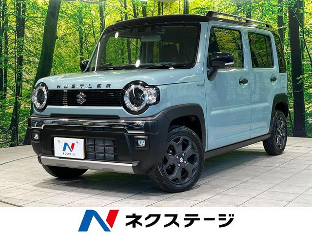 ハスラータフワイルド