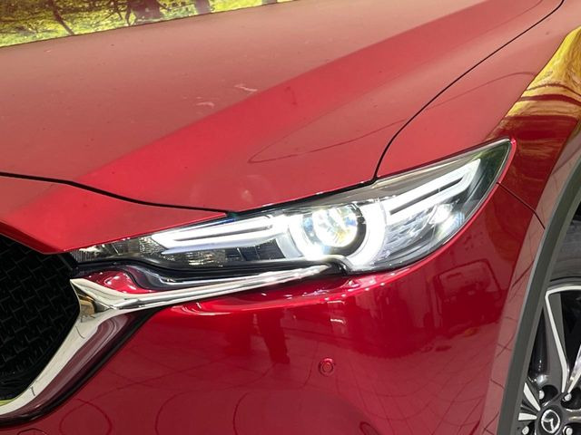 �w�b�h���C�g��e�[�������v&�A���~�z�C�[�����̊e��R�[�e�B���O���I�X�X�����Ă���܂��B�����Y�����̉��΂݂≘���}���A���ꂢ�ȏ�Ԃ������e�i���X���X�ŕۂĂ܂���