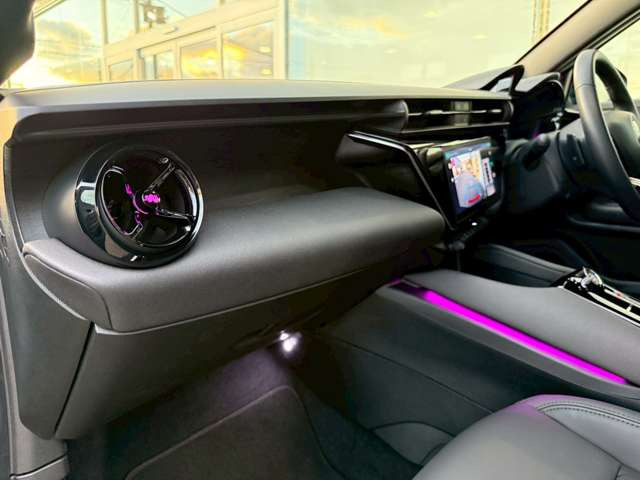 ジュニアイブリダ プレミアム