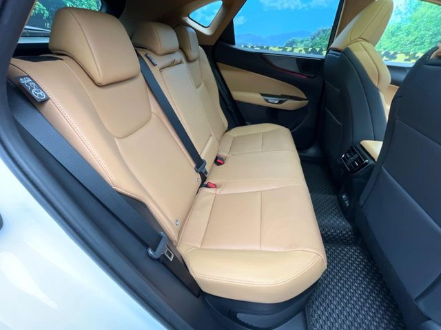 �㕔���Ȃ��C�ɂȂ�悤�ȃL�Y�E�����ւ��蓙�A�傫�ȃ_���[�W�͂Ȃ��A�ǍD�ȏ�Ԃł��B