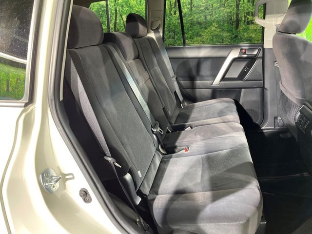 �㕔���Ȃ��C�ɂȂ�悤�ȃL�Y�E�����ւ��蓙�A�傫�ȃ_���[�W�͂Ȃ��A�ǍD�ȏ�Ԃł��B