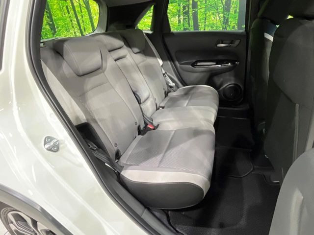 �㕔���Ȃ��C�ɂȂ�悤�ȃL�Y�E�����ւ��蓙�A�傫�ȃ_���[�W�͂Ȃ��A�ǍD�ȏ�Ԃł��B