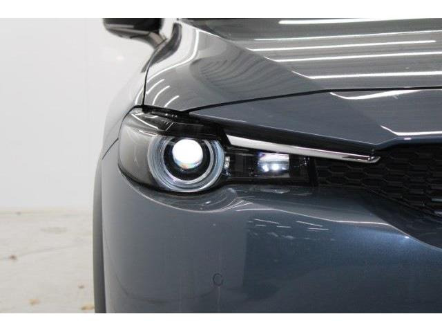 ���Ǝҗl�ւ̔̔��͂��f�肳���Ă��������܂��B �Ԍ������ԗ��̏ꍇ�́A�Ԍ����擾�������x�������z�ŕ\�����Ă���܂��B