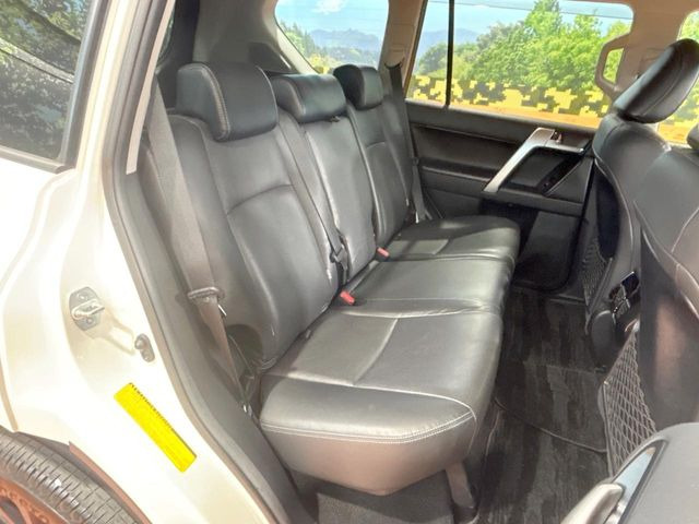 �㕔���Ȃ��C�ɂȂ�悤�ȃL�Y�E�����ւ��蓙�A�傫�ȃ_���[�W�͂Ȃ��A�ǍD�ȏ�Ԃł��B