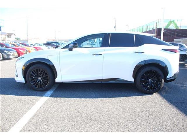 ���Ǝҗl�ւ̔̔��͂��f�肳���Ă��������܂��B �Ԍ������ԗ��̏ꍇ�́A�Ԍ����擾�������x�������z�ŕ\�����Ă���܂��B