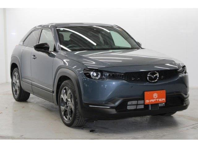 ���Ǝҗl�ւ̔̔��͂��f�肳���Ă��������܂��B �Ԍ������ԗ��̏ꍇ�́A�Ԍ����擾�������x�������z�ŕ\�����Ă���܂��B