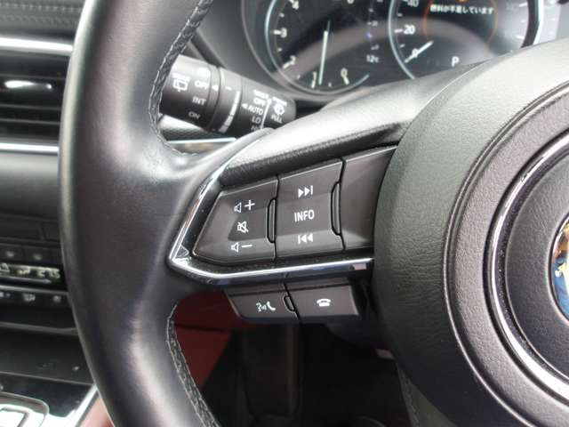 �X�e�A�����O�X�C�b�`�����Ă܂��̂łƂĂ����K�ł�!