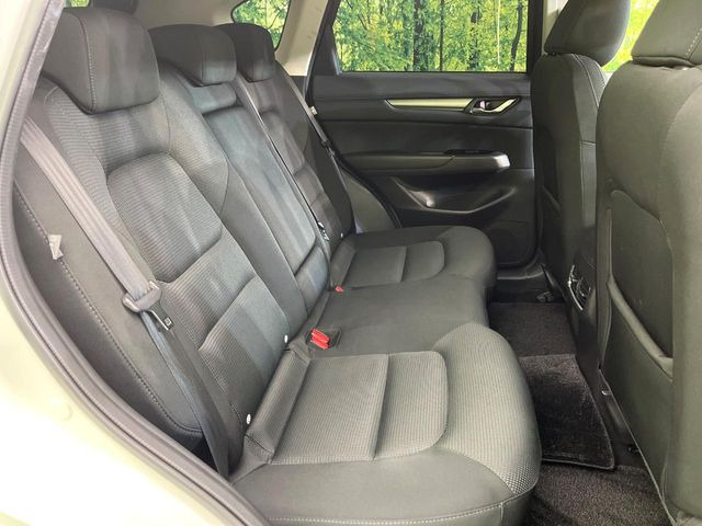 �㕔���Ȃ��C�ɂȂ�悤�ȃL�Y�E�����ւ��蓙�A�傫�ȃ_���[�W�͂Ȃ��A�ǍD�ȏ�Ԃł��B