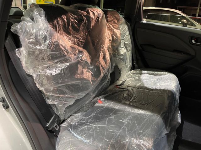 �㕔���Ȃ��C�ɂȂ�悤�ȃL�Y�E�����ւ��蓙�A�傫�ȃ_���[�W�͂Ȃ��A�ǍD�ȏ�Ԃł��B