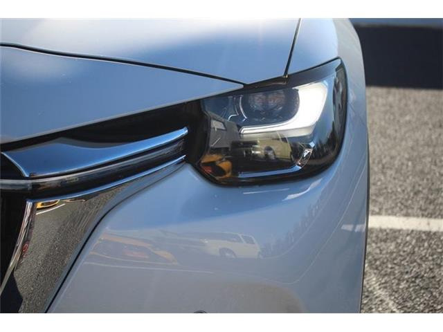 ���Ǝҗl�ւ̔̔��͂��f�肳���Ă��������܂��B �Ԍ������ԗ��̏ꍇ�́A�Ԍ����擾�������x�������z�ŕ\�����Ă���܂��B