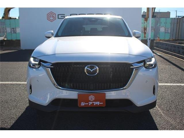 ���Ǝҗl�ւ̔̔��͂��f�肳���Ă��������܂��B �Ԍ������ԗ��̏ꍇ�́A�Ԍ����擾�������x�������z�ŕ\�����Ă���܂��B