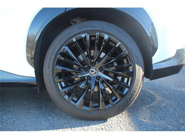 ���Ǝҗl�ւ̔̔��͂��f�肳���Ă��������܂��B �Ԍ������ԗ��̏ꍇ�́A�Ԍ����擾�������x�������z�ŕ\�����Ă���܂��B