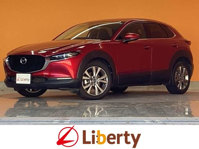 CX-302.0 20S プロアクティブ ツーリングセレクション