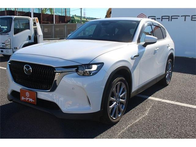 ���Ǝҗl�ւ̔̔��͂��f�肳���Ă��������܂��B �Ԍ������ԗ��̏ꍇ�́A�Ԍ����擾�������x�������z�ŕ\�����Ă���܂��B