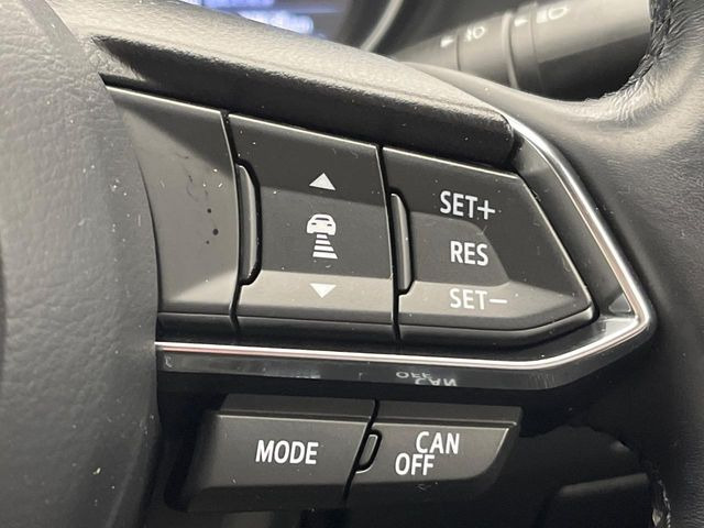 �y�}�c�_�E���[�_�[�N���[�Y�R���g���[���z�������H�ł̒��������s���y��!�����ő��x��ۂN���[�Y�R���g���[�����A�Փˌy���V�X�e���ƘA�g���A�O���̎ԗ������m���ĎԊԂ�ۂ悤�ɑ��x���߂��Ă���܂�!!