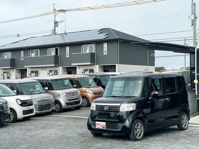 �y39.8���X�J�[�Y�̎��q���������������A���ɂ��肪�Ƃ��������܂��B���������S�s���c1186-7TEL:0942-73-6060�܂ł��⍇����������