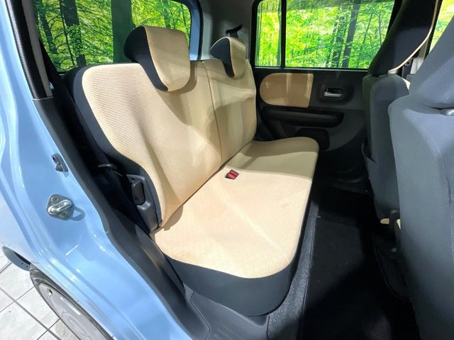 �㕔���Ȃ��C�ɂȂ�悤�ȃL�Y�E�����ւ��蓙�A�傫�ȃ_���[�W�͂Ȃ��A�ǍD�ȏ�Ԃł��B