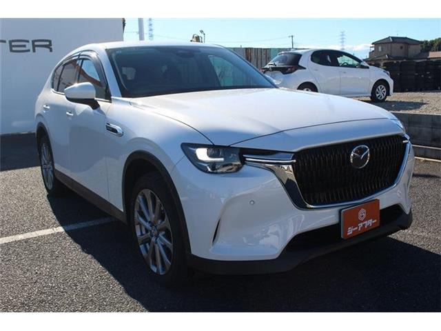 ���Ǝҗl�ւ̔̔��͂��f�肳���Ă��������܂��B �Ԍ������ԗ��̏ꍇ�́A�Ԍ����擾�������x�������z�ŕ\�����Ă���܂��B