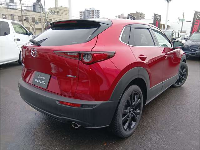 CX-30