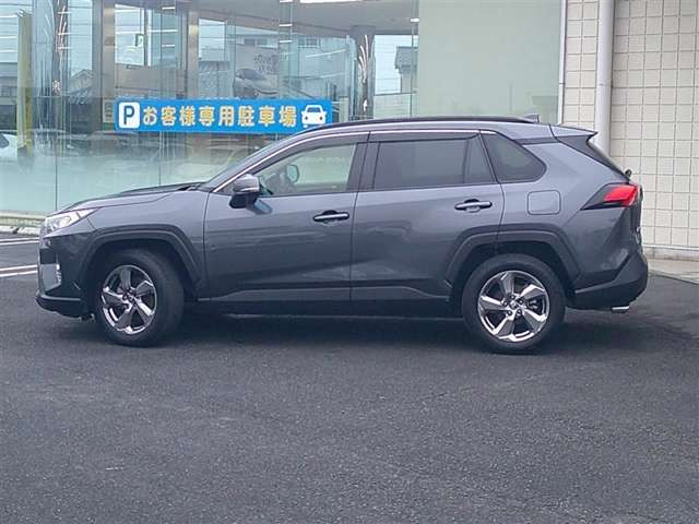 RAV42.0 X